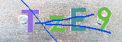 CAPTCHA 驗證圖片