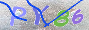 CAPTCHA 驗證圖片