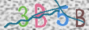 CAPTCHA 驗證圖片