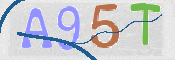 CAPTCHA 驗證圖片