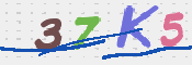 CAPTCHA 驗證圖片