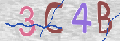 CAPTCHA 驗證圖片