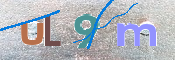 CAPTCHA 驗證圖片
