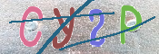 CAPTCHA 驗證圖片