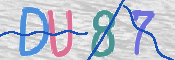 CAPTCHA 驗證圖片