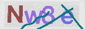 CAPTCHA 驗證圖片