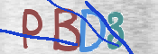 CAPTCHA 驗證圖片