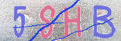 CAPTCHA 驗證圖片