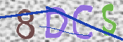 CAPTCHA 驗證圖片