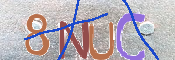CAPTCHA 驗證圖片