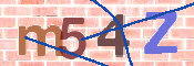 CAPTCHA 驗證圖片