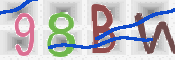 CAPTCHA 驗證圖片