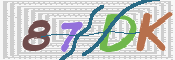 CAPTCHA 驗證圖片
