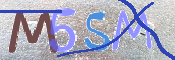 CAPTCHA 驗證圖片