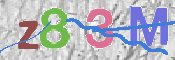 CAPTCHA 驗證圖片