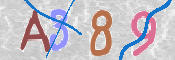 CAPTCHA 驗證圖片