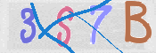 CAPTCHA 驗證圖片