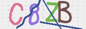 CAPTCHA 驗證圖片