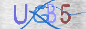 CAPTCHA 驗證圖片