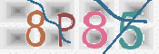 CAPTCHA 驗證圖片
