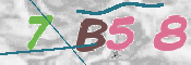 CAPTCHA 驗證圖片