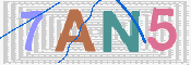 CAPTCHA 驗證圖片