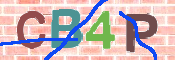 CAPTCHA 驗證圖片