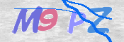 CAPTCHA 驗證圖片