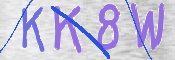 CAPTCHA 驗證圖片