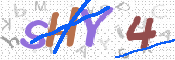 CAPTCHA 驗證圖片