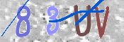 CAPTCHA 驗證圖片