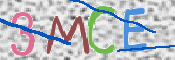 CAPTCHA 驗證圖片