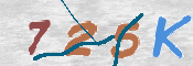 CAPTCHA 驗證圖片