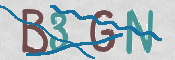 CAPTCHA 驗證圖片