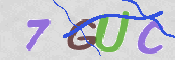 CAPTCHA 驗證圖片