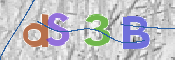 CAPTCHA 驗證圖片