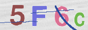 CAPTCHA 驗證圖片