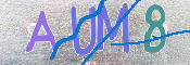 CAPTCHA 驗證圖片