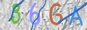 CAPTCHA 驗證圖片