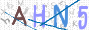 CAPTCHA 驗證圖片