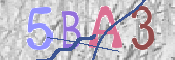 CAPTCHA 驗證圖片