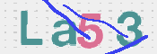 CAPTCHA 驗證圖片