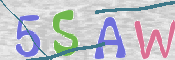 CAPTCHA 驗證圖片