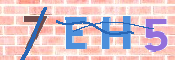 CAPTCHA 驗證圖片