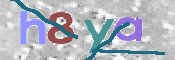 CAPTCHA 驗證圖片