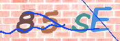 CAPTCHA 驗證圖片