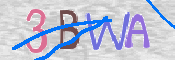 CAPTCHA 驗證圖片