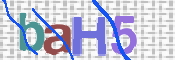 CAPTCHA 驗證圖片