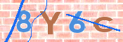 CAPTCHA 驗證圖片