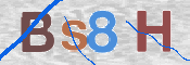 CAPTCHA 驗證圖片